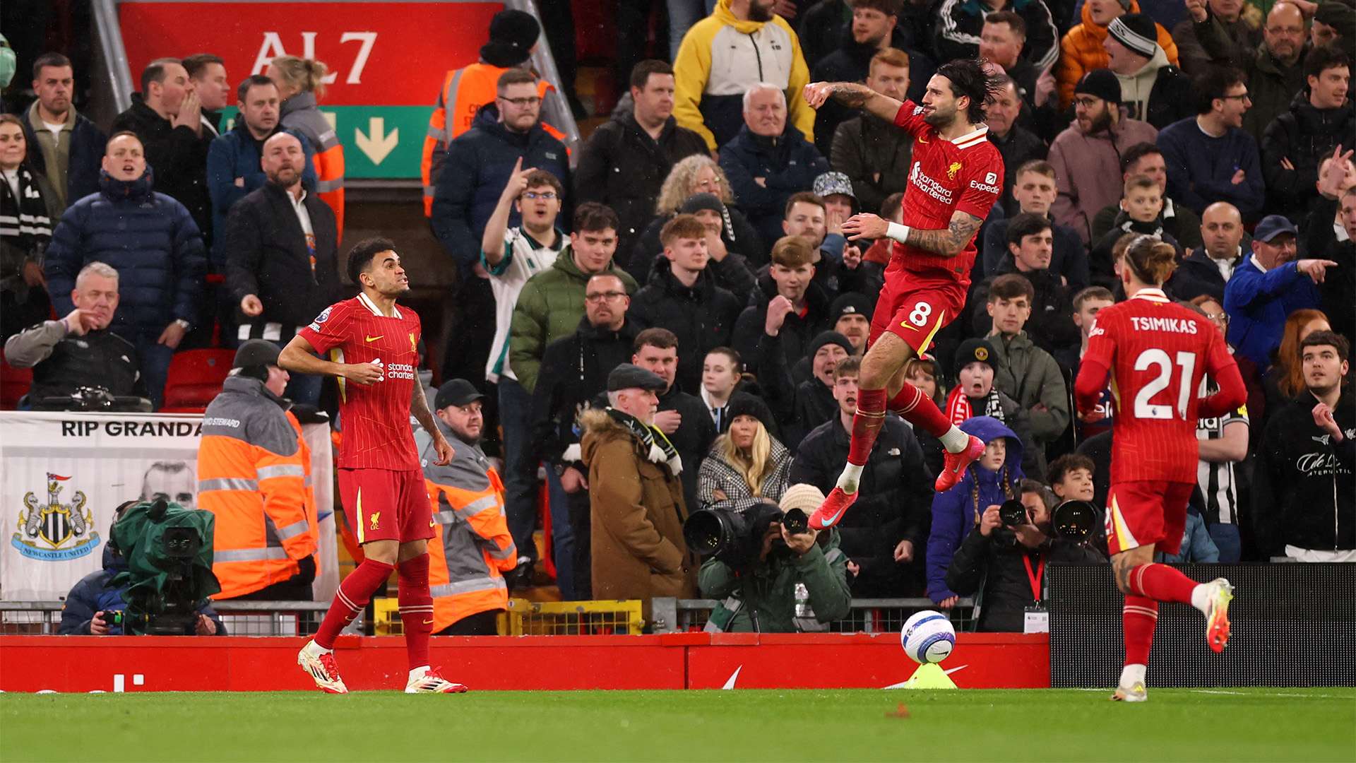 整篇文章将 整篇文章将