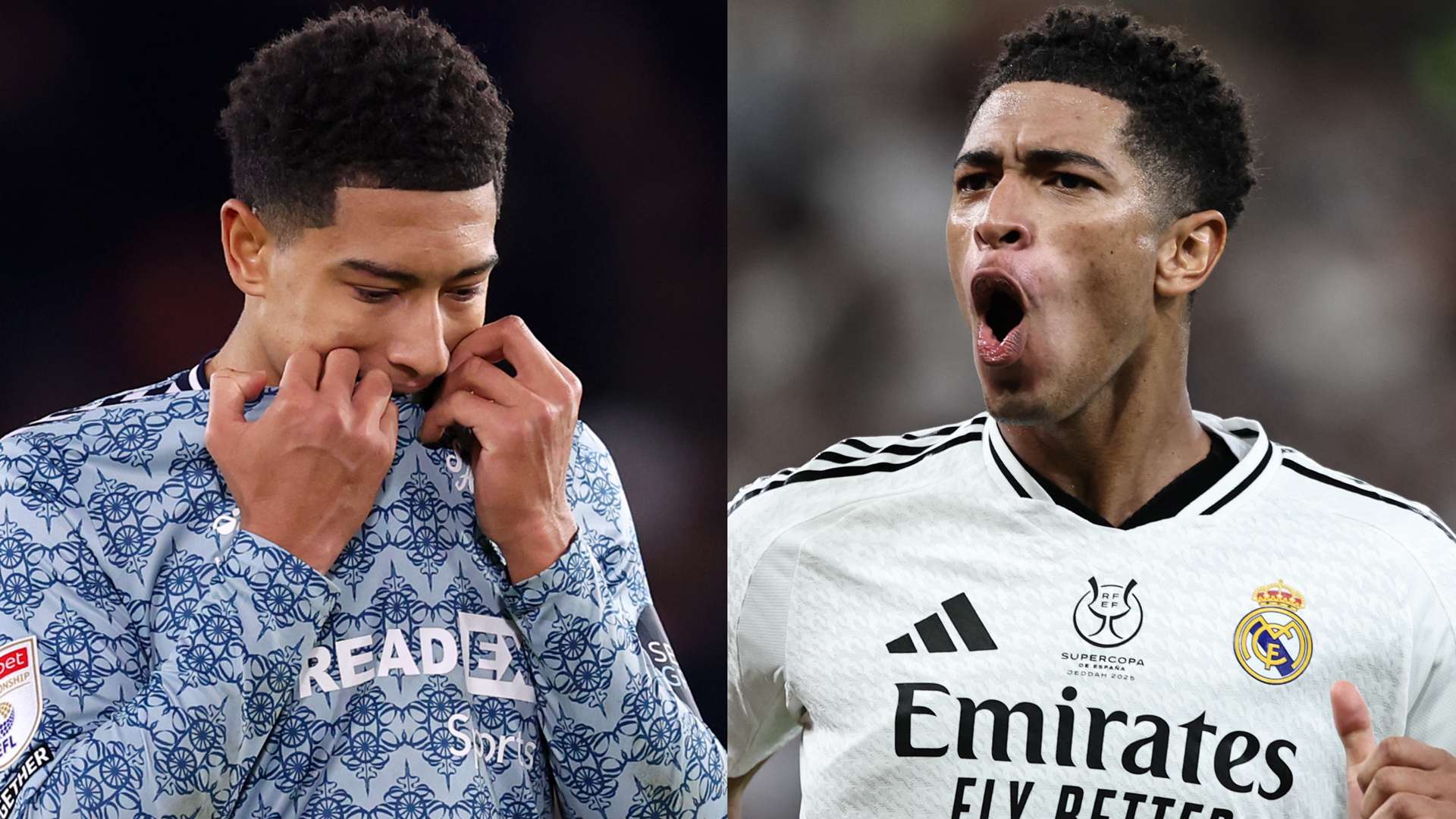 善外援政策 善外援政策